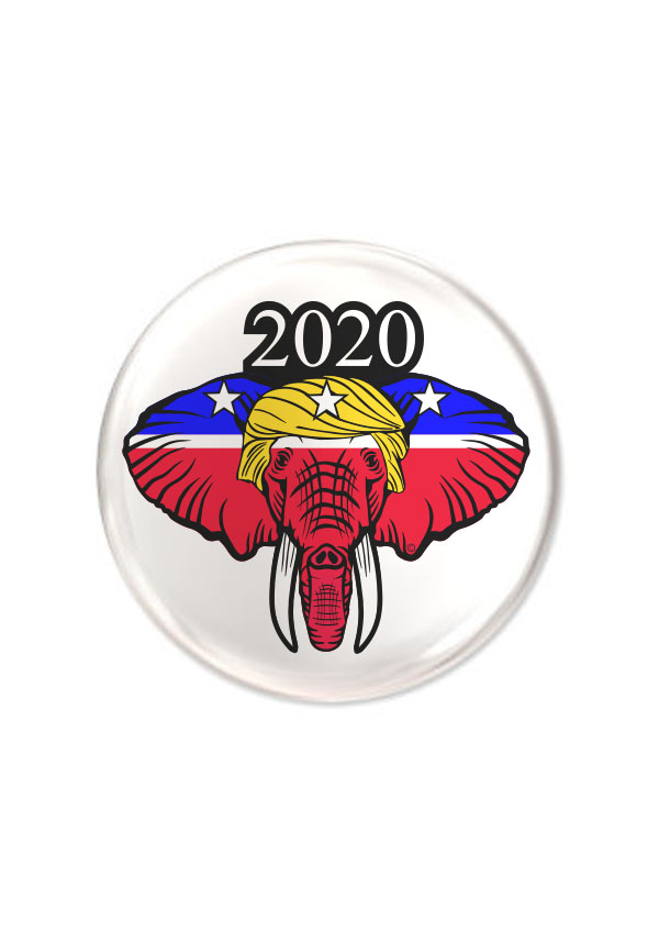 Trump 2020 Campaign Pin